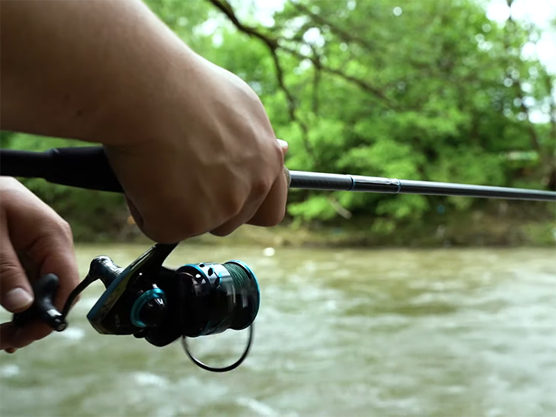 Delphin IXCELA 5T veľ. 5000