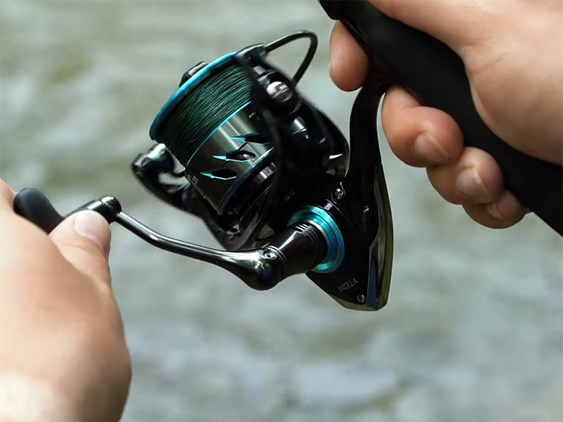 Delphin IXCELA 5T veľ. 5000