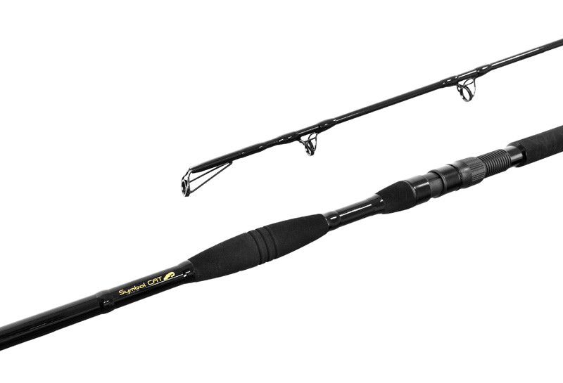 Delphin Symbol Cat 310cm 500g Catfish Rod